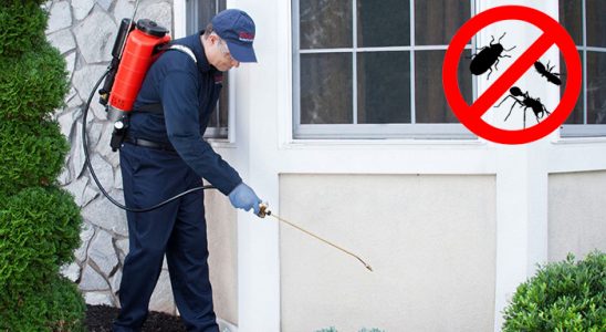 Banaz Fare İlaçlama böcek ilaçlama ve haşere kontrolü — ilaclama-tr.com